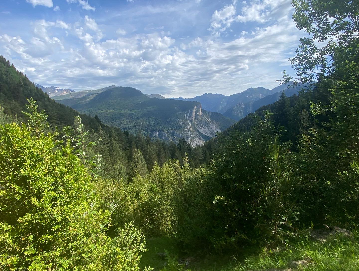 907c674d 5794 4d4b 89db 9959bb94e699